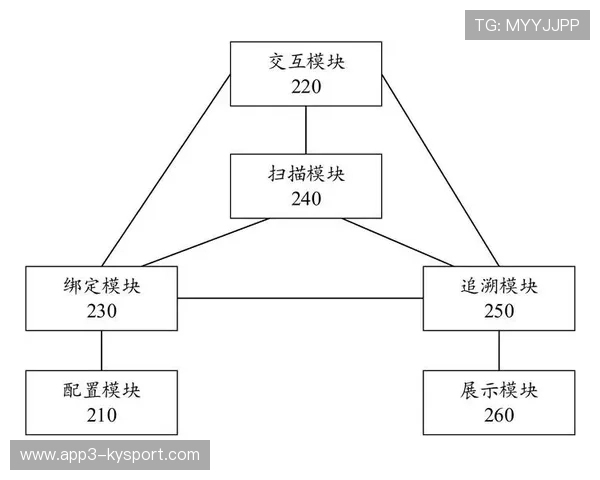 正由离散式投放转向全生命周期触达 体育媒体生态在当前阶段经历底层变革